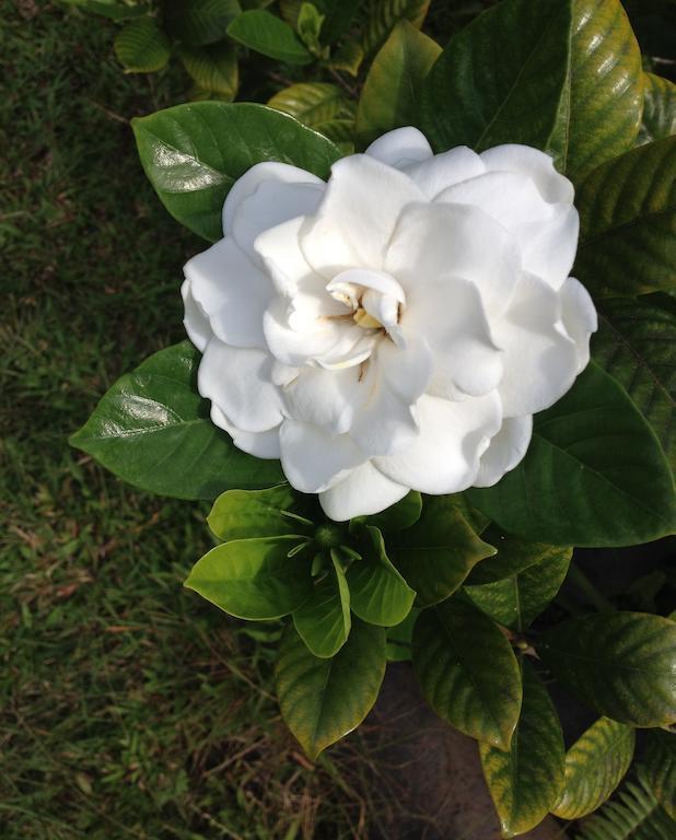 Heavenly Hana Paradise الغرفة الصورة