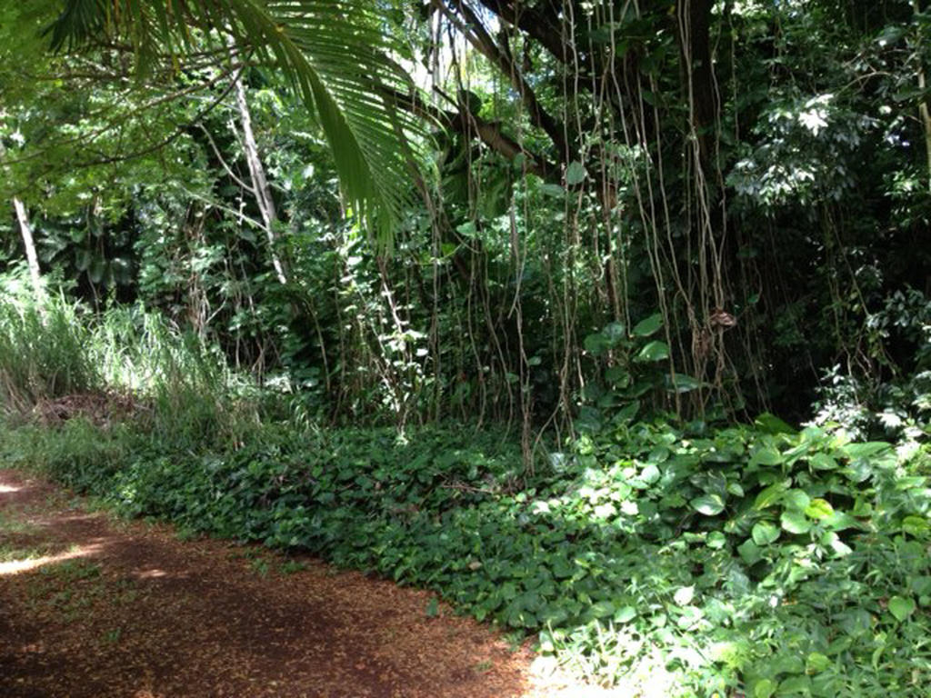 Heavenly Hana Paradise الغرفة الصورة